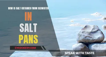 Salt Harvesting: From Seawater to Salt Pans