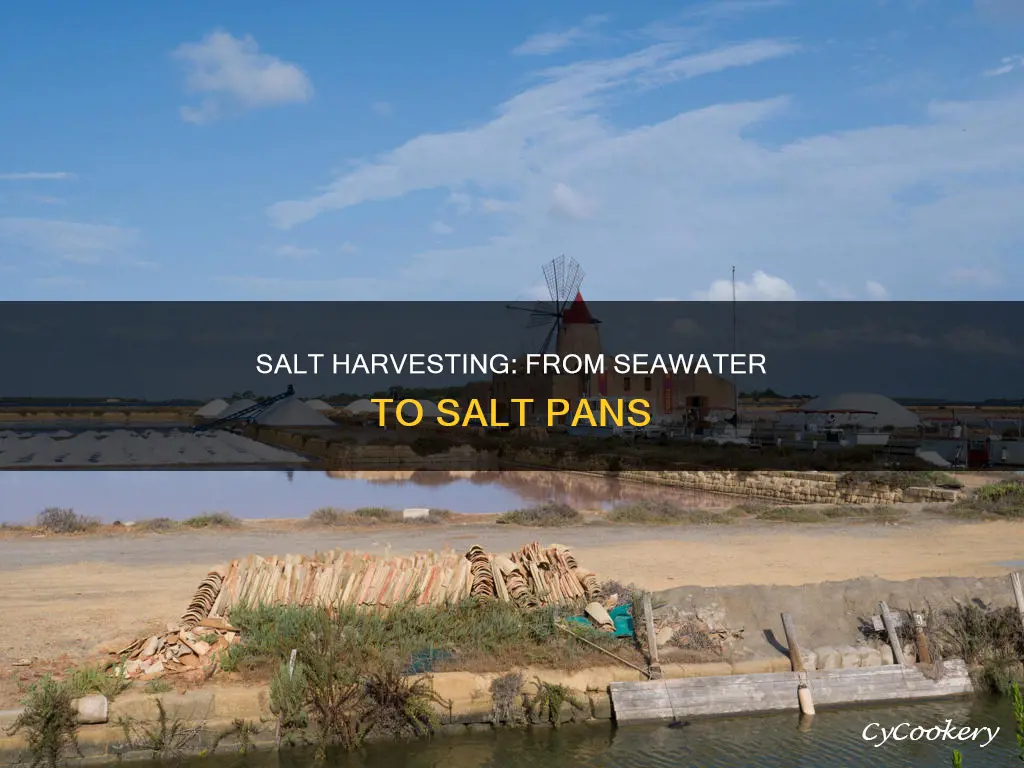 how is salt obtained from seawater in salt pans