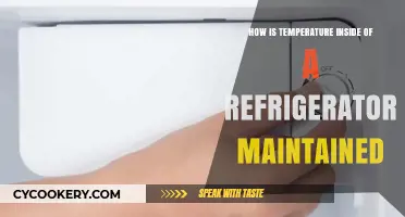 How Refrigerators Regulate Internal Temperature for Optimal Food Preservation