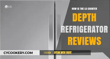 LG Counter Depth Refrigerator Reviews: Pros, Cons, and User Experiences