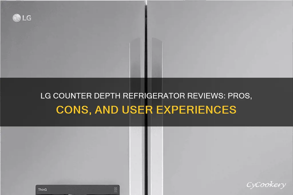 how is the lg counter depth refrigerator reviews