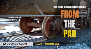 The Magnetic Track: A Pan's Evolution