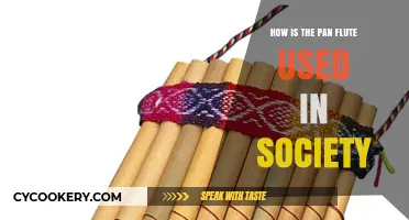 The Pan Flute's Role in Modern Culture and Traditions