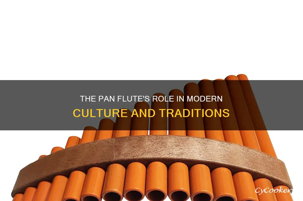 how is the pan flute used in society