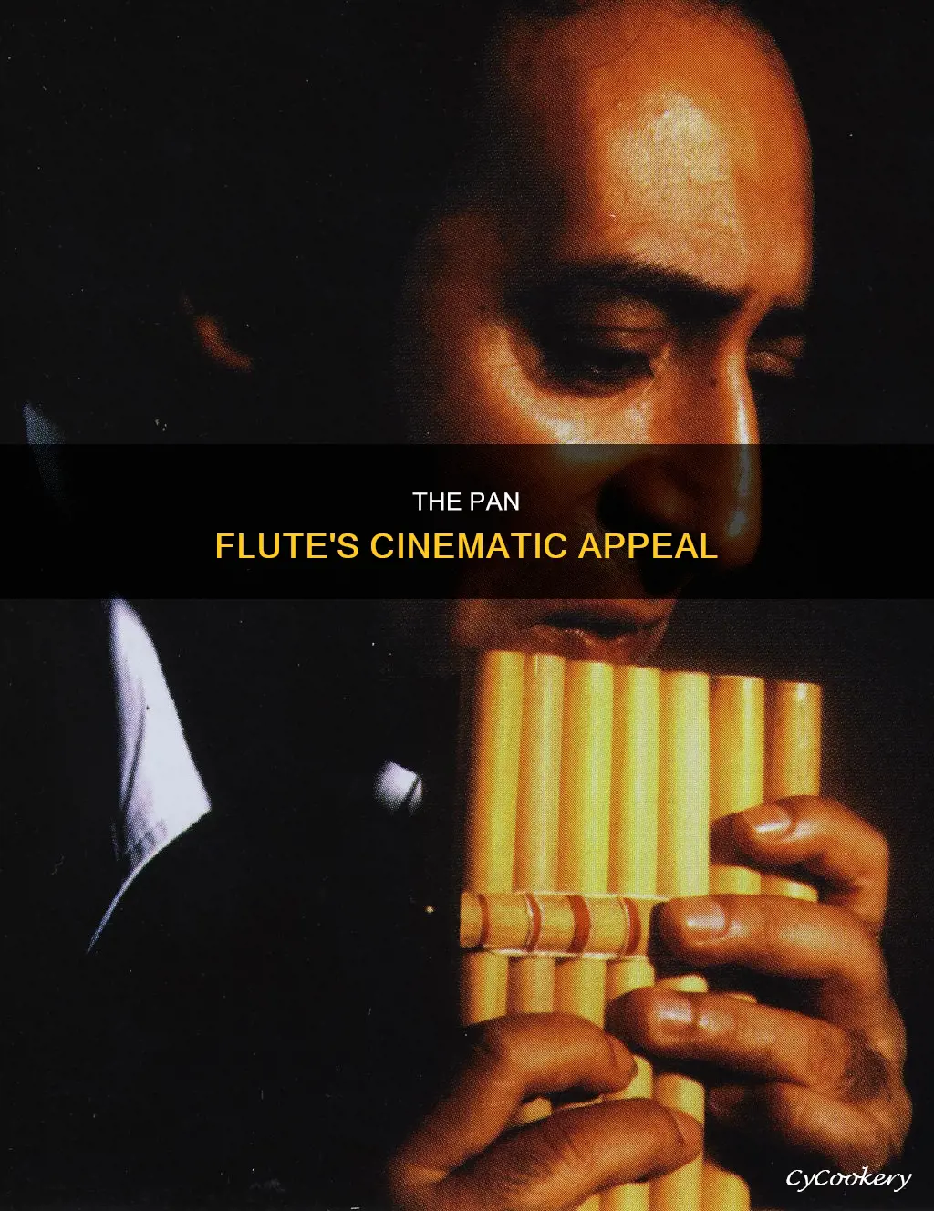 how is the pan flute utilized in movies
