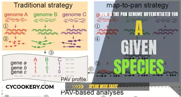 Exploring Pan-Genome Diversity in Species