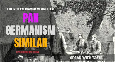 Pan-Islamism and Pan-Germanism: Shared Ideological Roots