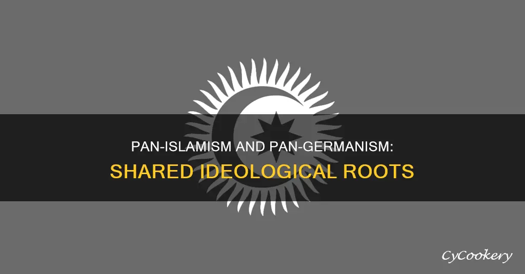 how is the pan islamism movement and pan germanism similar