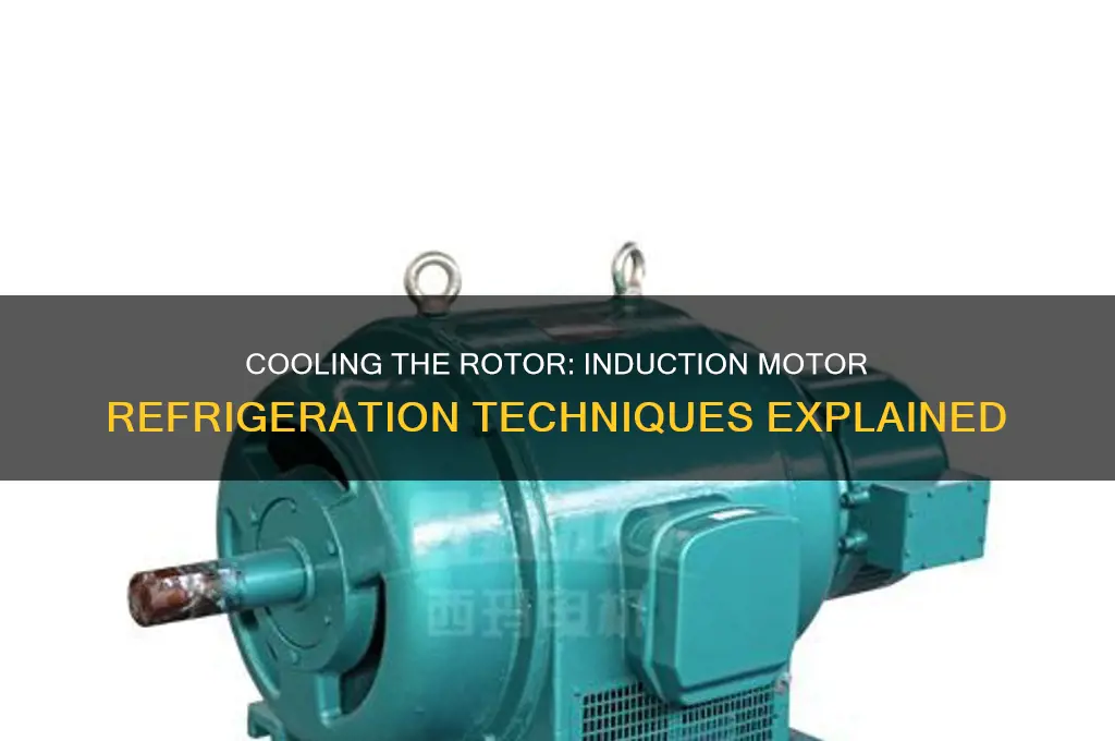 how is the rotor in an induction motor refrigerated