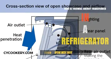 Understanding Thermal Energy Transfer in Refrigerators: A Comprehensive Guide