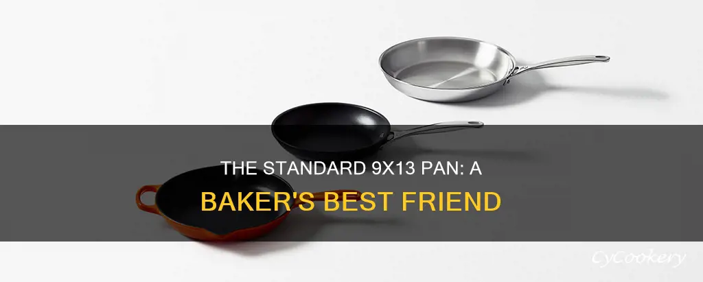 how large is a 9x13 pan