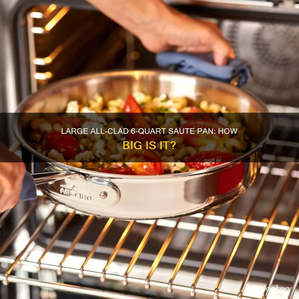 how large is all clad 6 quart sautee pan