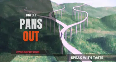 Life's Unexpected Trajectory: Navigating the Twists and Turns