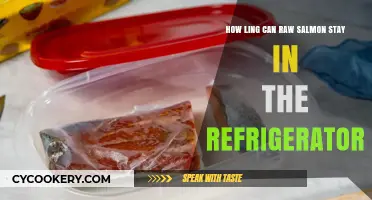 How Long Can Raw Salmon Safely Stay in the Fridge?