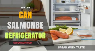 How Long Can Salmon Stay Fresh in the Refrigerator?