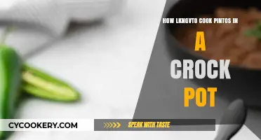 The Ultimate Crock Pot Pinto Cooking Guide