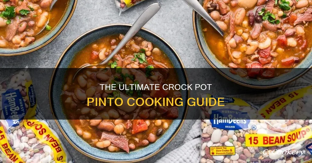 how lkngvto cook pintos in a crock pot