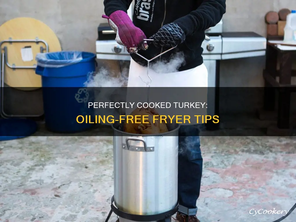 how logn to cook turkey in oiless fryer