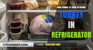 Safely Thawing a 10-Pound Turkey: Refrigerator Timelines Explained