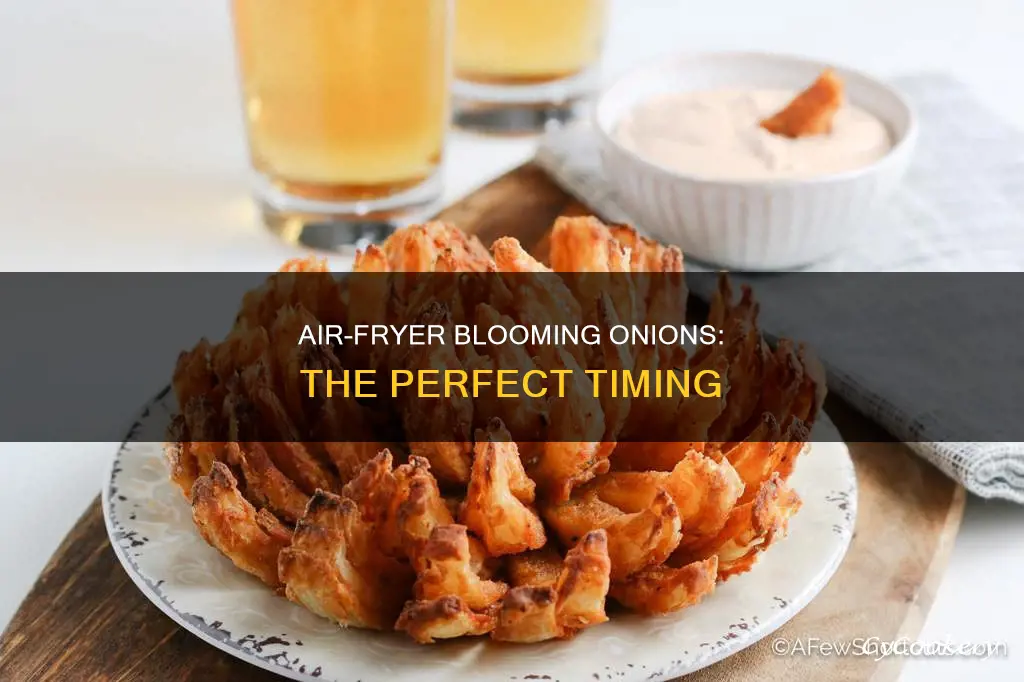 how long 2 cookbloomim onion in air fryer