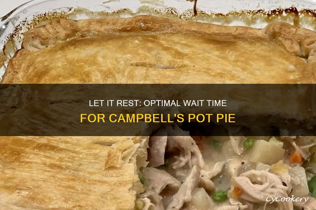 how long after cooking campel pot pie should it rest
