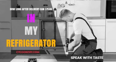 Post-Delivery Refrigerator Setup: When to Safely Plug It In