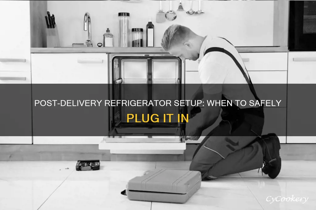 how long after delivery can i plug in my refrigerator