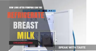Refrigerating Breast Milk: Timing Tips After Pumping for Freshness