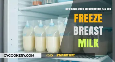 Refrigerated Breast Milk: When Is It Safe to Freeze?