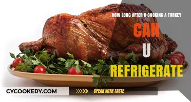 Refrigerating Cooked Turkey: Timing Tips for Safe Storage