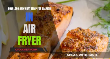 Air-Fried Salmon: Perfect Timing and Temperature