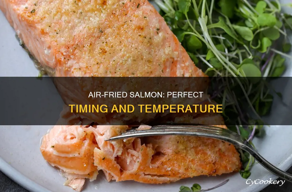 how long and what temp for salmon in air fryer