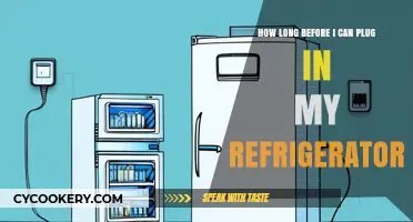 When Can You Safely Plug In Your Refrigerator After Moving?