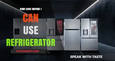 When Can You Use a New Refrigerator? A Quick Guide