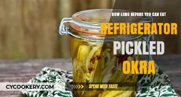 Refrigerator Pickled Okra: When Can You Enjoy This Tangy Treat?