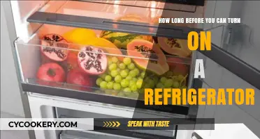 Waiting to Cool: When Can You Safely Turn On Your Refrigerator?