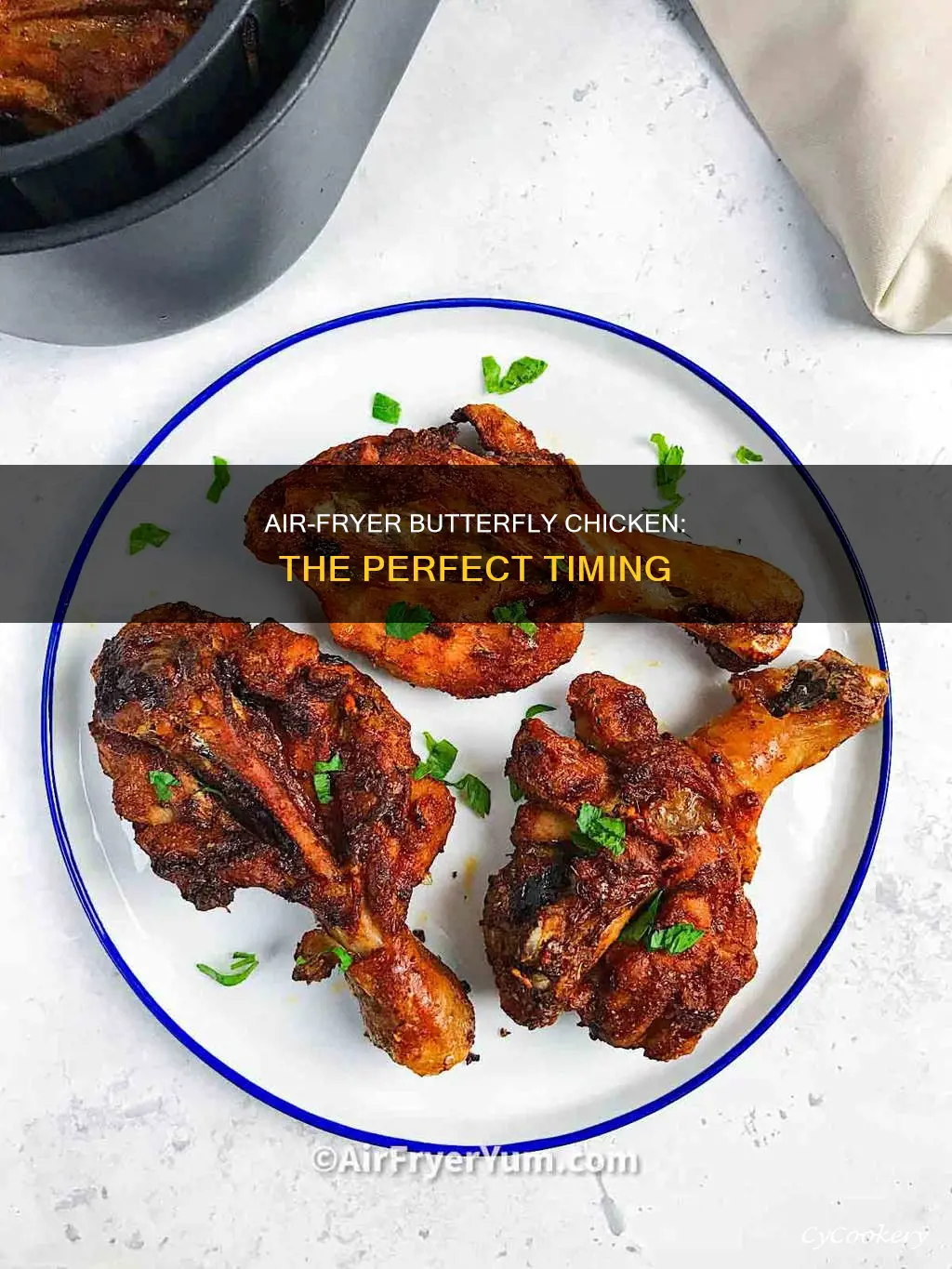 how long butterfly chicken in air fryer