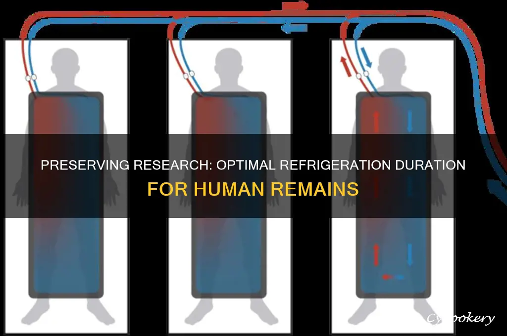 how long can a body stay refrigerated for research