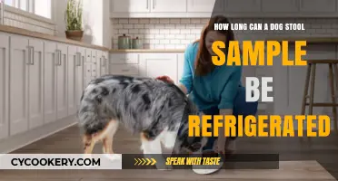 Refrigerating Dog Stool Samples: How Long Is Safe and Effective?