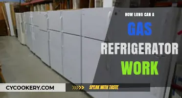 Gas Refrigerator Lifespan: How Long Can It Keep Running?