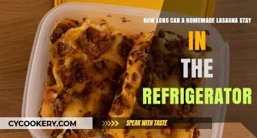 Refrigerated Homemade Lasagna: Safe Storage Duration and Freshness Tips