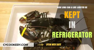 Storing Live Lobster: Optimal Refrigerator Time for Freshness