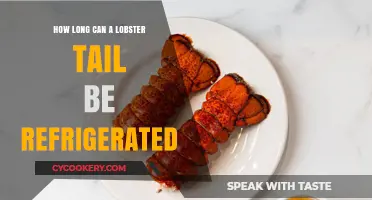 Refrigerating Lobster Tails: Optimal Storage Time and Freshness Tips