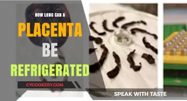 Placenta Refrigeration: Safe Storage Duration and Guidelines Explained
