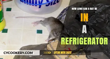 How Long Can a Rat Survive Inside Your Refrigerator?