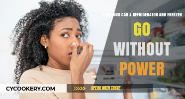 Refrigerator and Freezer Survival Guide: Power Outage Duration Tips