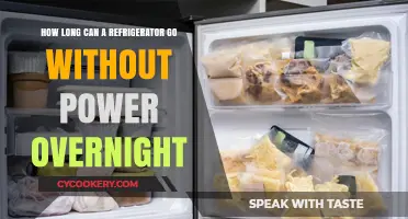 Refrigerator Power Outage: How Long Can Food Stay Safe Overnight?