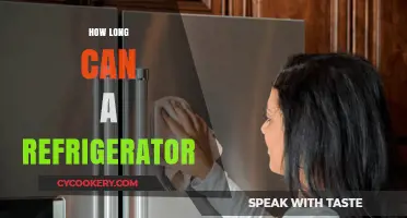How Long Can a Refrigerator Last: Lifespan and Maintenance Tips