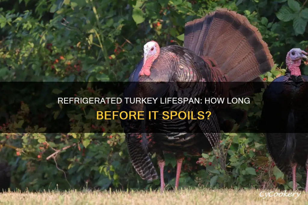 how long can a turkey stay refrigerated before spoiling