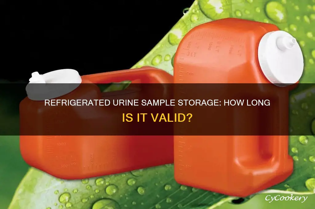 how long can a urine sample be kept refrigerated
